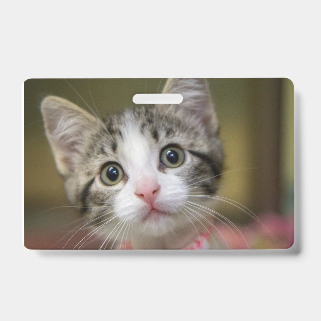 Crachá Um gatinho fofo com olhos verdes (Frente)