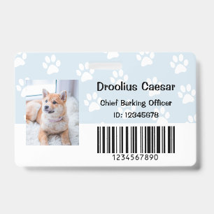 Crachá Veterinário de Cuidados com Animais de Estimação F