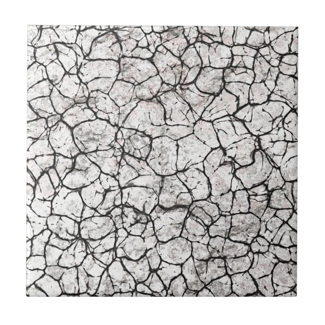 Cracked Marble Digital Pattern (Frente)