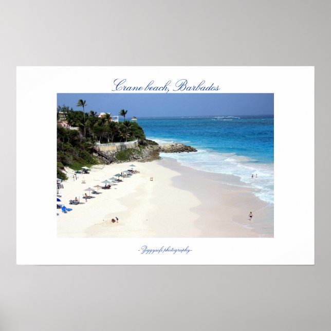 Crane beach poster (Frente)