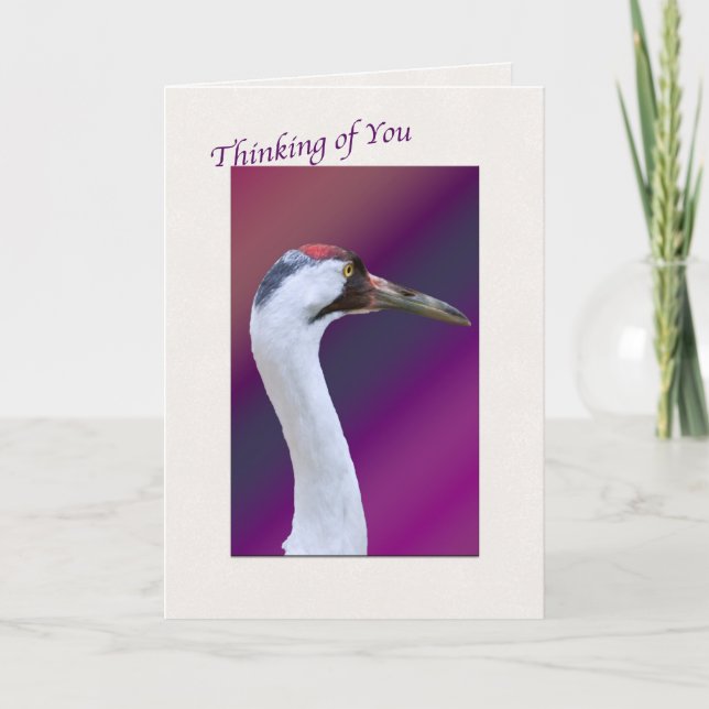 Crane Bronca Pensando em você Cartão Saudação (Frente)