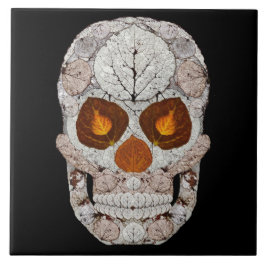 Crânio 11 da folha de Aspen