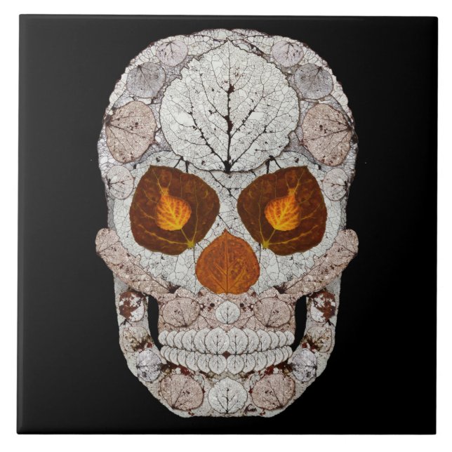 Crânio 11 da folha de Aspen (Frente)