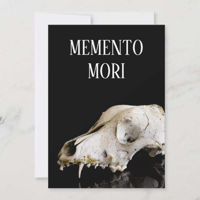 Crânio animal (Frente)