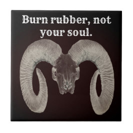 crânio de cabra único e feito à mão