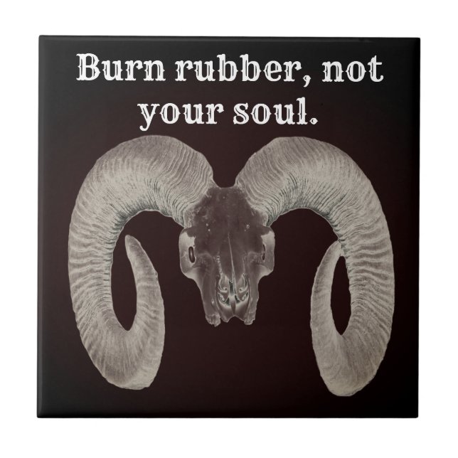 crânio de cabra único e feito à mão (Frente)