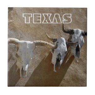 Crânios de Vaca Texas-Longhorn