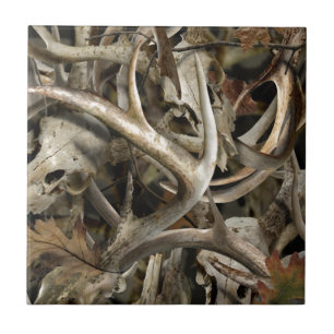 Crânios dos cervos de Camo