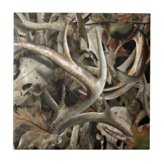 Crânios dos cervos de Camo