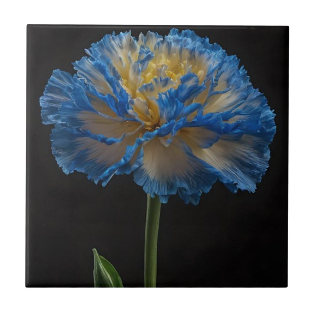 Cravo Azul E Amarelo, (Frente)