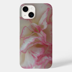 Cravo branco e rosa