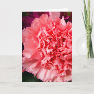 "Cravo cor-de-rosa 1." Cartão