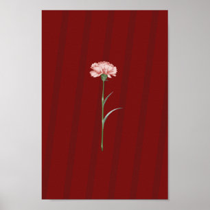 Cravo cor-de-rosa no vermelho - Poster estético ro