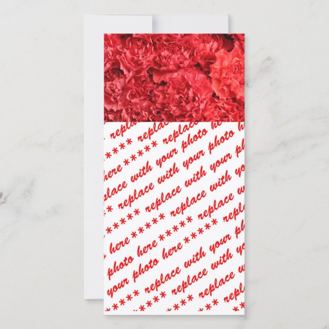 Cravos Vermelhos (Frente)