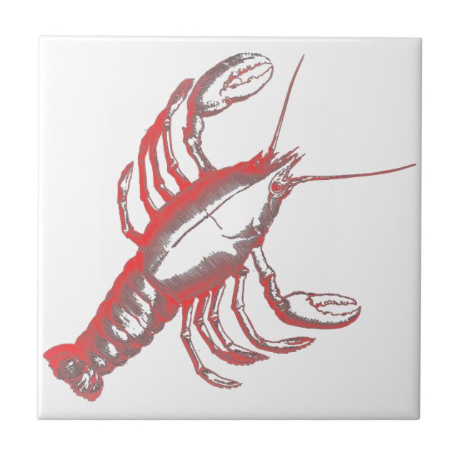 Crayfish (Frente)