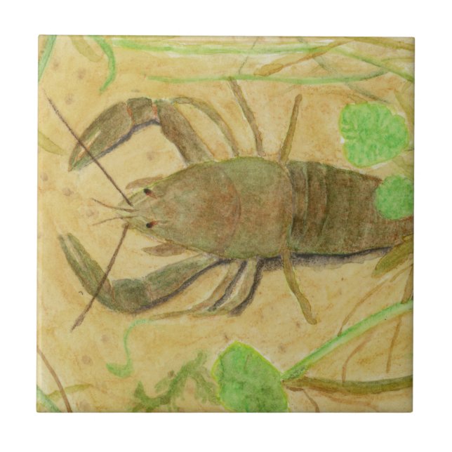 Crayfish (Frente)