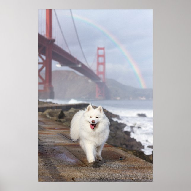 CRB Rainbow Bridge Poster (Frente)