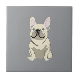 Cream French Bulldog, 