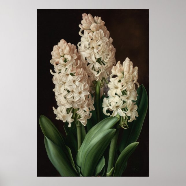Cream Hyacinth Flower Art Poster (Frente)