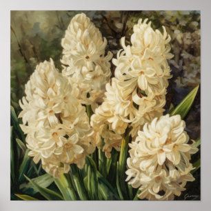 Cream Hyacinth Flower Art Poster