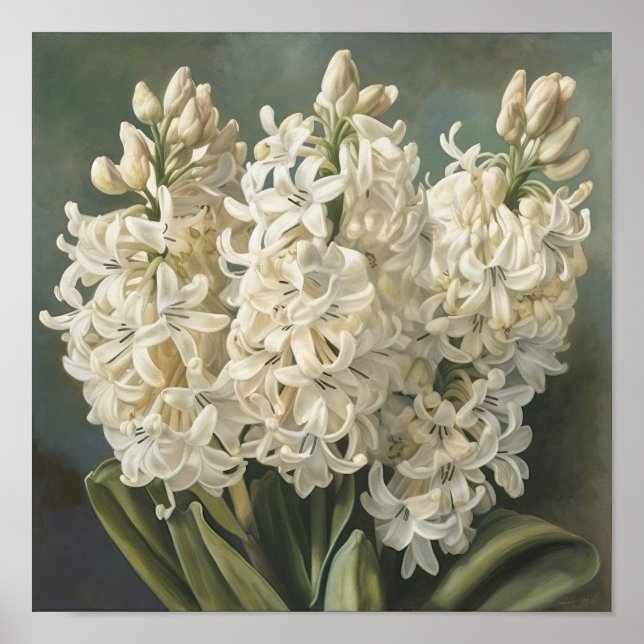 Cream Hyacinth Flower Art Poster (Frente)