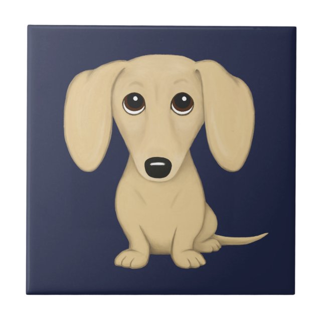 Cream Short Haired Dachshund (Frente)