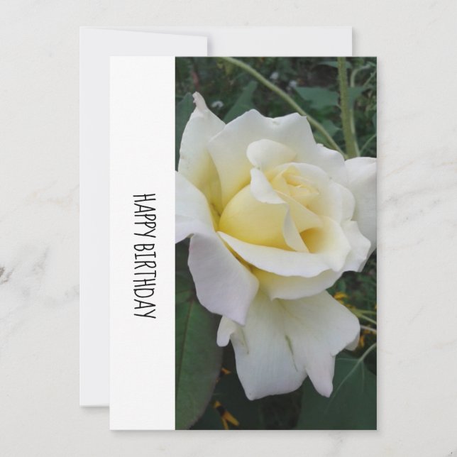 Cream White Rose Birthday Card (Frente)