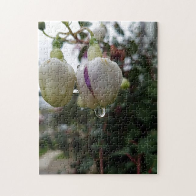 Creative bud fuchsia, quebra-cabeça (Vertical)