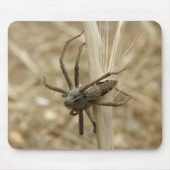 Creepy Crawly Spider Mousepad (Frente)