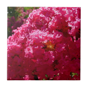Crepe Myrtle Magenta Floral