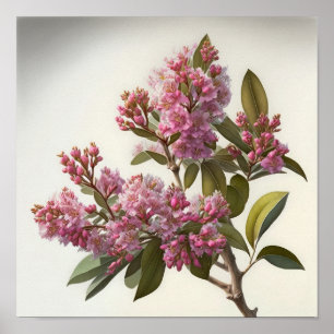 Crepe Rosa Myrtle Flores Impressão