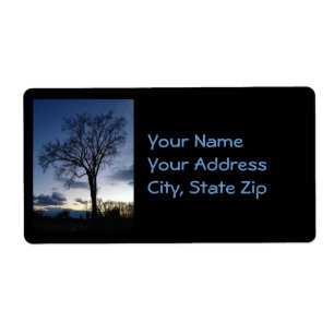 Crepúsculo na árvore em etiquetas de endereço de i