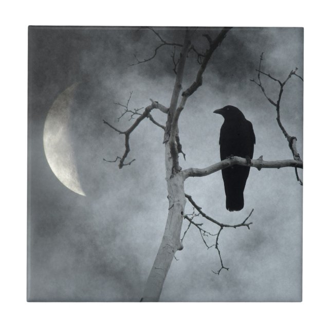 Crescent Moon Lit Crow (Frente)
