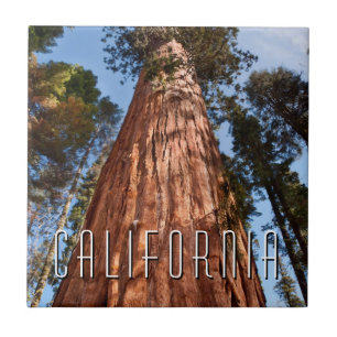 Crescentes Sequoia Gigantes