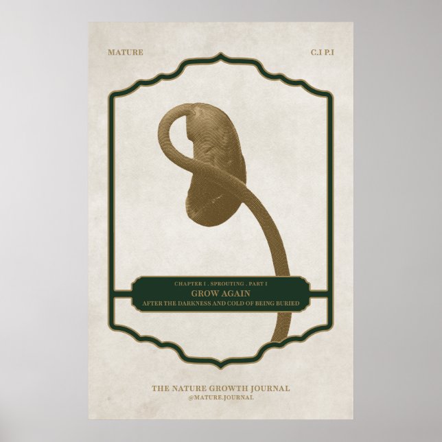 CRESCER NOVAMENTE - POSTER DESIGN MATURO (Frente)