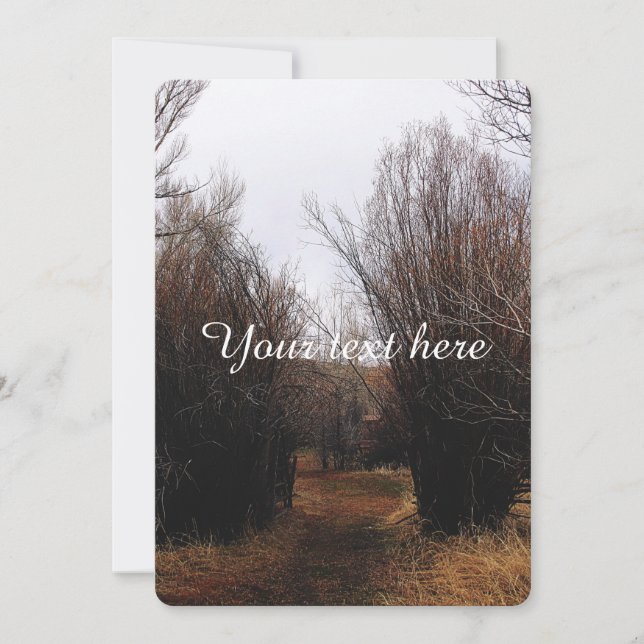 Crescimento em Excesso de Bandas em Queda (Frente)