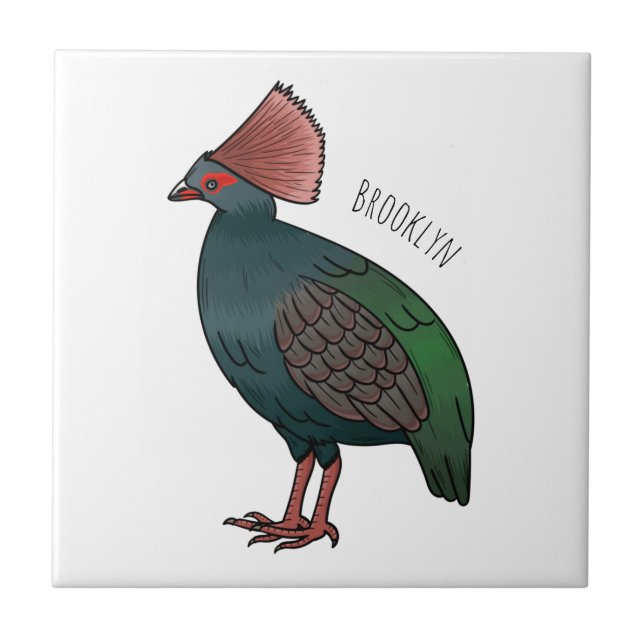 Crested partridge bird cartoon illustration  (Frente)