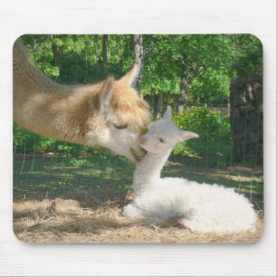 Cria novo Mousepad