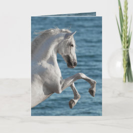 Criação de Cavalos do Mar - Cartão de Saudação de