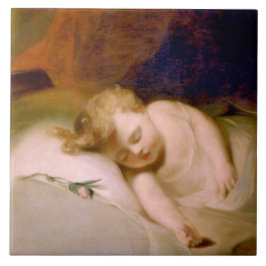 Criança que dorme (por Thomas Sully)