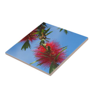 Criar seu próprio azulejo quadrado - bottlebrush