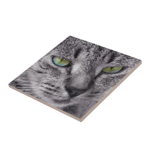 Criar seu próprio azulejo quadrado - gato de gato