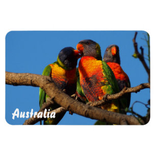 Criar seu próprio ímã da foto