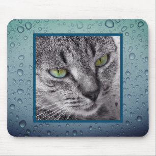 Criar seu próprio mousepad do animal de estimação