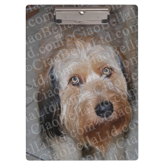 Criar sua própria prancheta feita sob encomenda da (Frente)