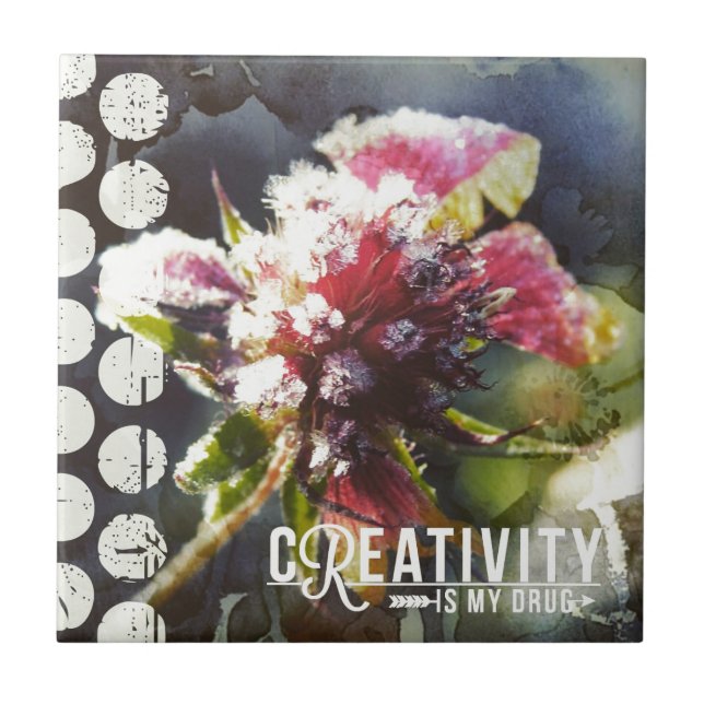 Criatividade de Flor Congelada é minha droga (Frente)