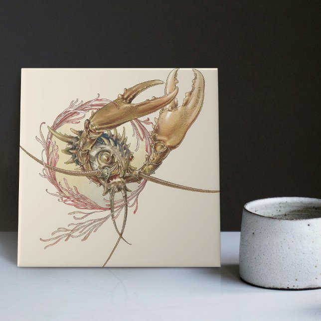 Criatura Fantástica Encantando Arte Nouveau Seder (Criador carregado)