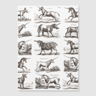 Criatura Mágica Clássica do Unicórnio Antiquado