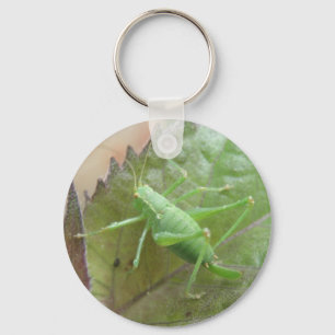Cricket verde em Chaveiro Folha
