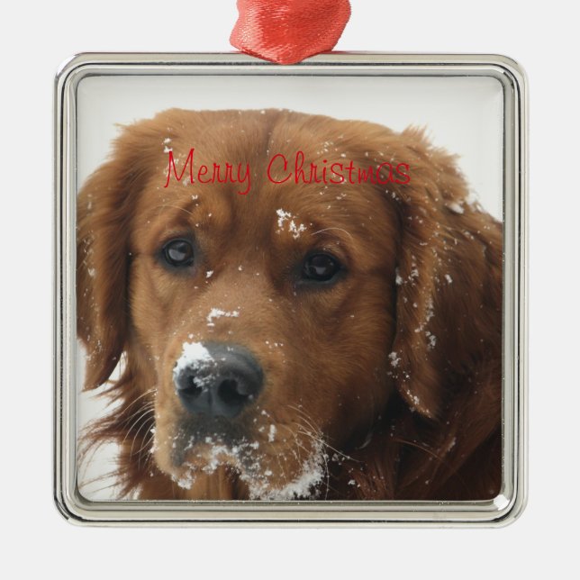 Crie o seu próprio Enfeites de natal Pet (Frente)